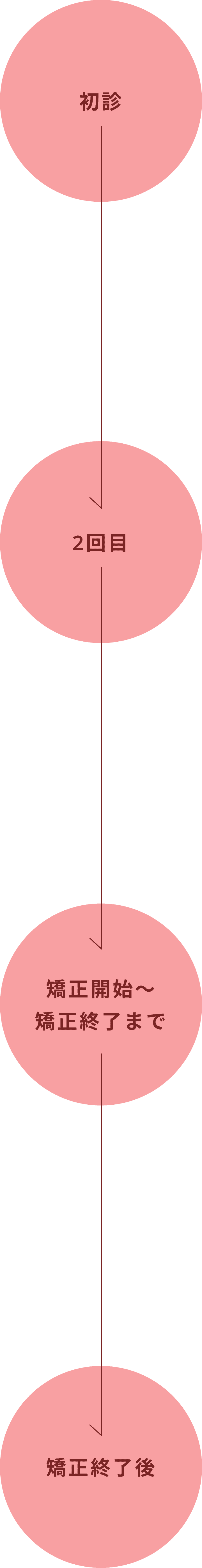 部分矯正のたつや歯科 治療の流れ